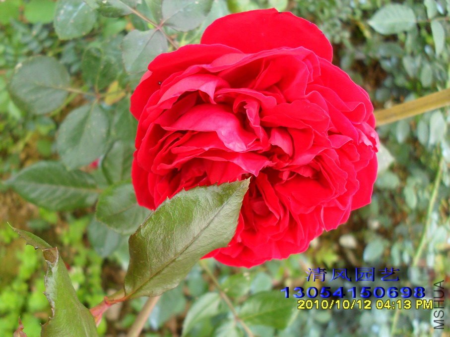 ���� (10).jpg