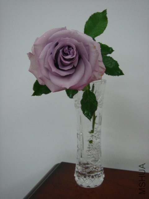 DSC04154.JPG
