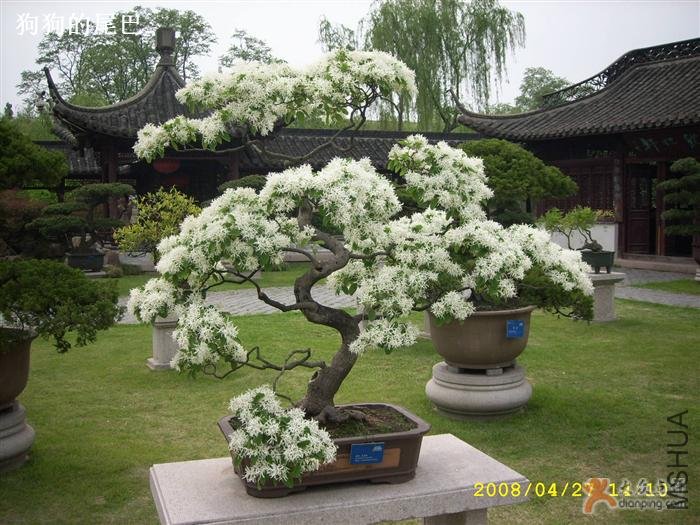 472409_b.jpg
