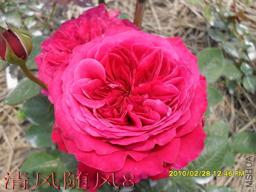 �ʼ���֬1 (3).jpg