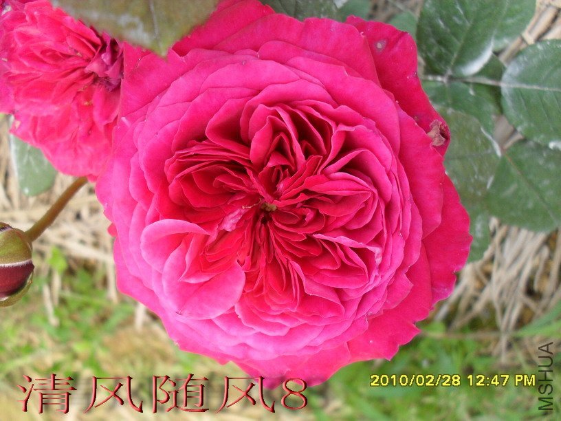 �ʼ���֬1 (2).jpg