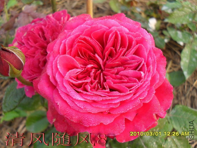 �ʼ���֬1 (1).jpg