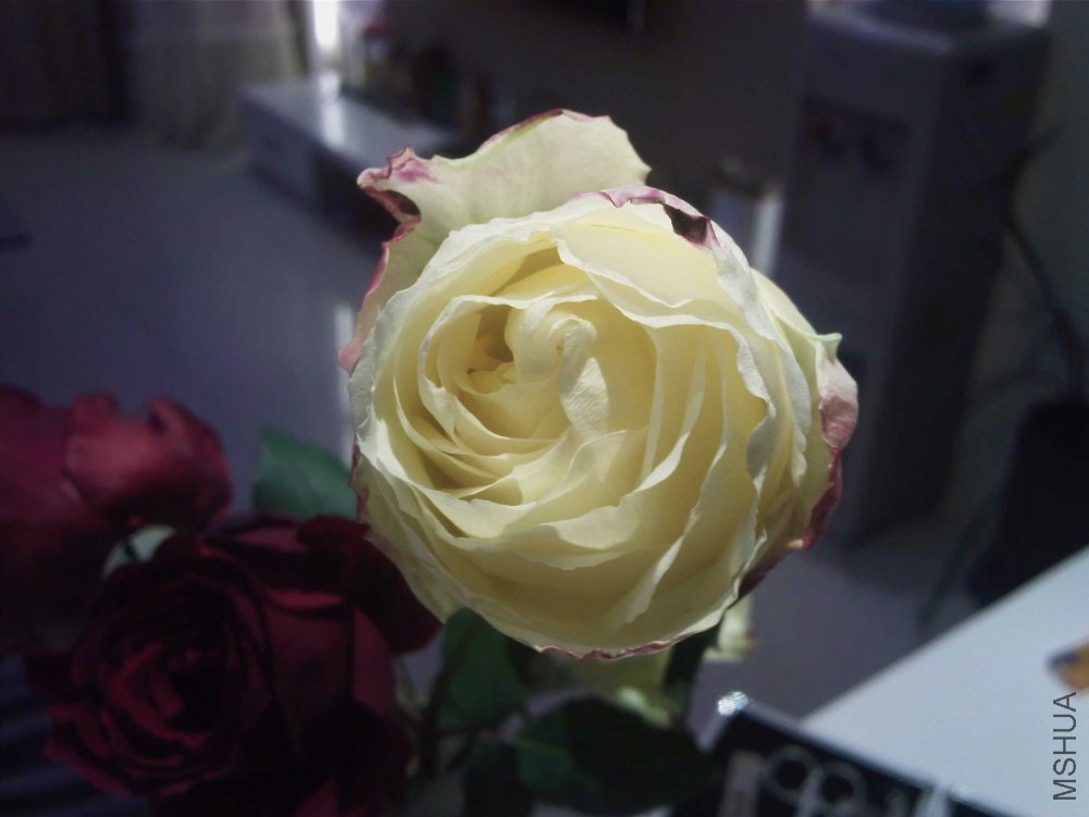 Camera_20101202_221741.jpg