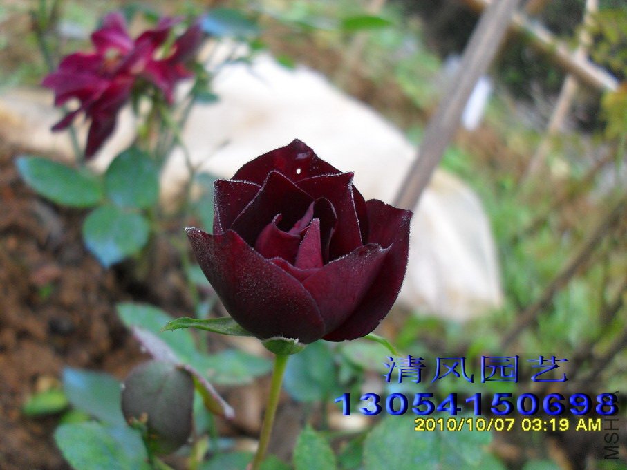 ·��ʮ�� (1).jpg