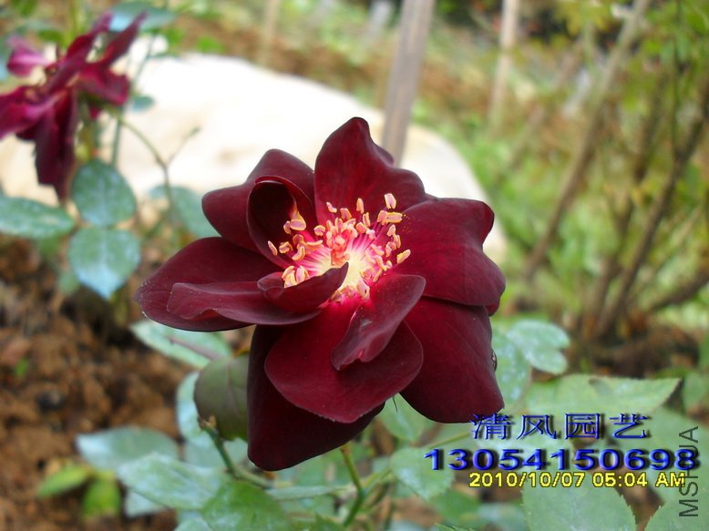 ·��ʮ�� (2).jpg