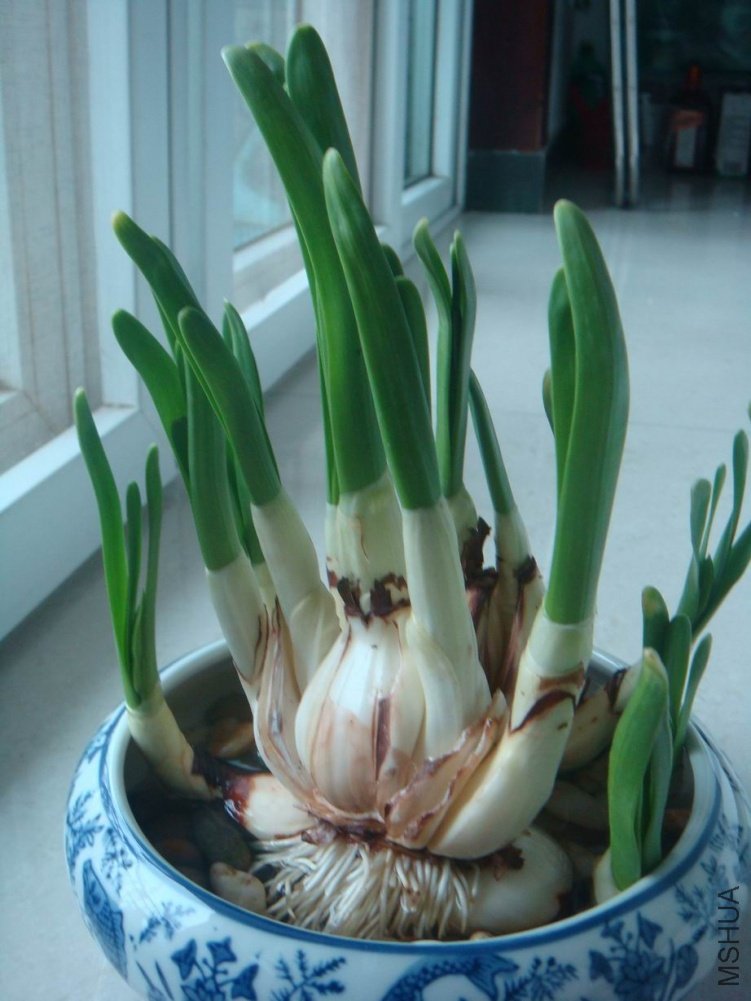 ������С ��ת DSC06758.JPG