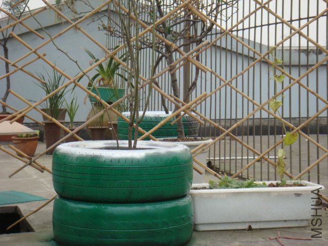 DSC07085.JPG