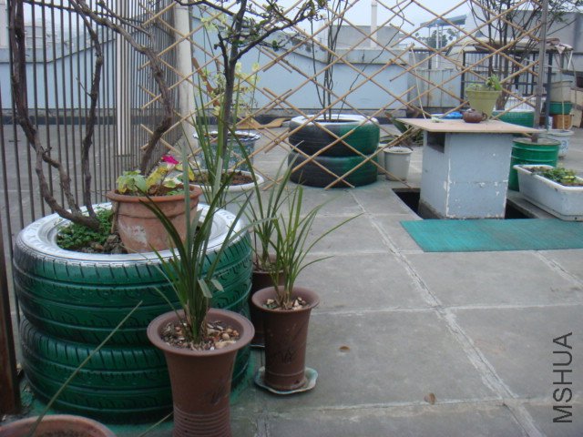 DSC07137.JPG