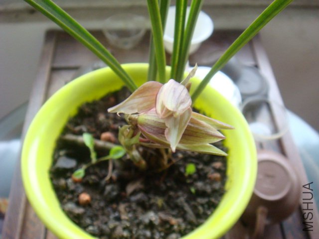 DSC07278.JPG