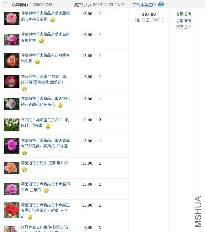 03.JPG