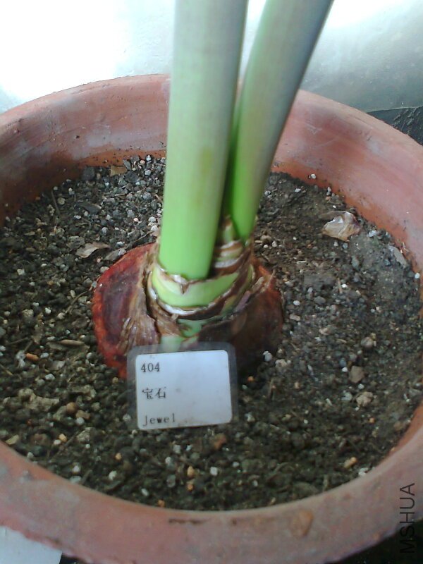 ��Ƭ0397.jpg