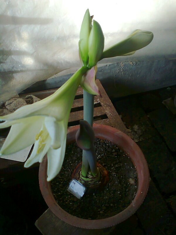 ��Ƭ0399.jpg