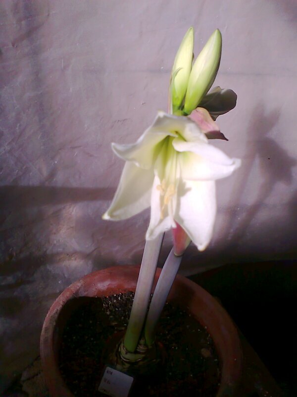 ��Ƭ0400.jpg