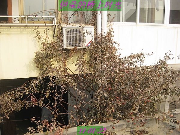 nEO_IMG_��Ƭ 095.jpg