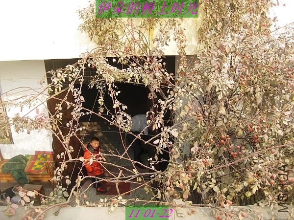 nEO_IMG_��Ƭ 099.jpg