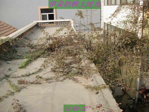 nEO_IMG_��Ƭ 098.jpg