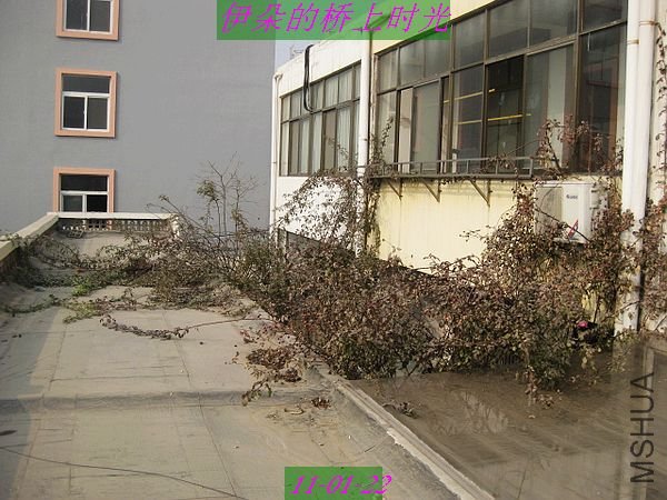 nEO_IMG_��Ƭ 096.jpg