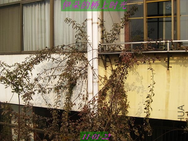 nEO_IMG_��Ƭ 102.jpg