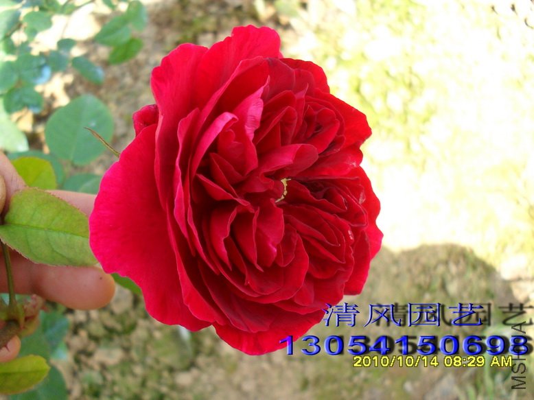 ����˹���� (1).jpg