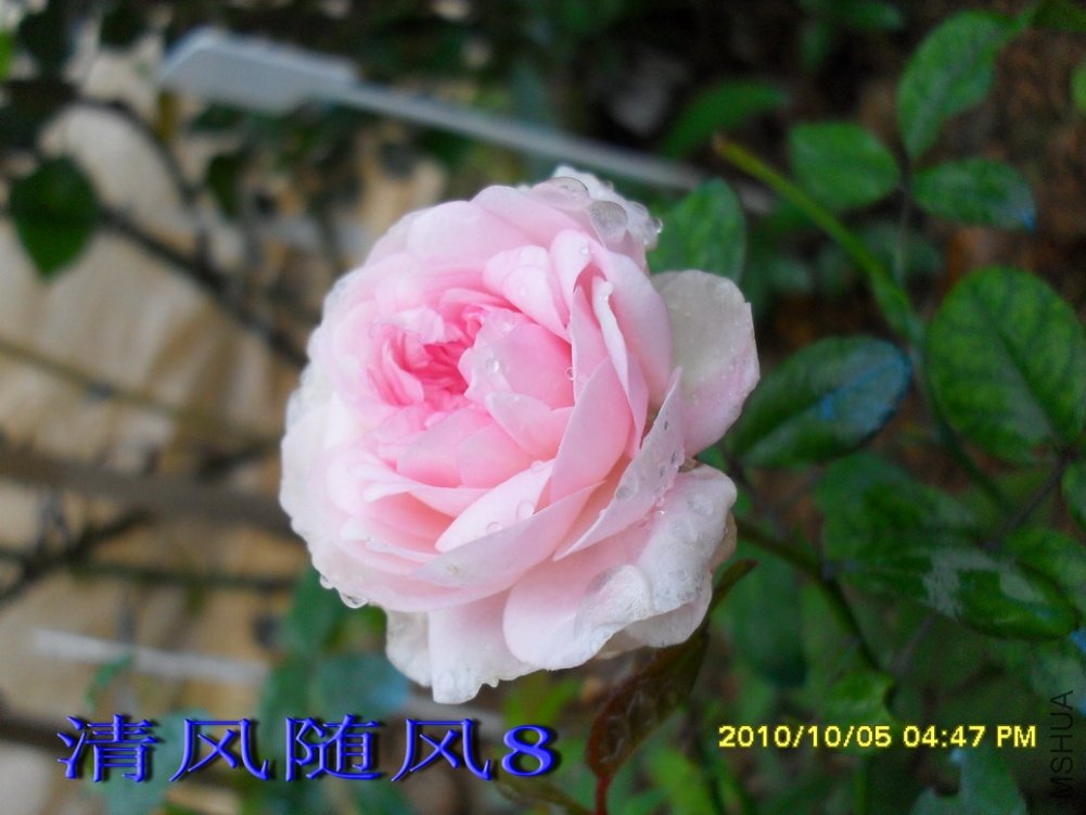 ��ױ¥�������磩3 (2).jpg