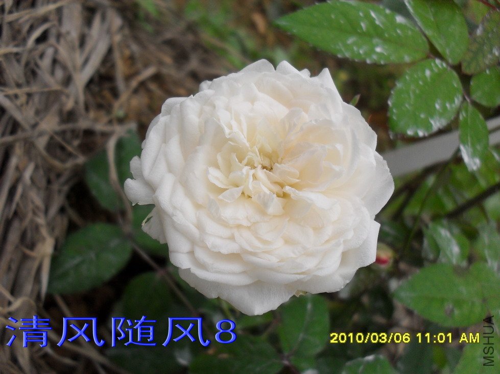 ��ױ¥�������磩3 (5).jpg