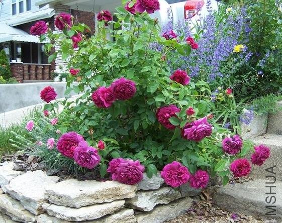 ��Ӱ���� (7).jpg