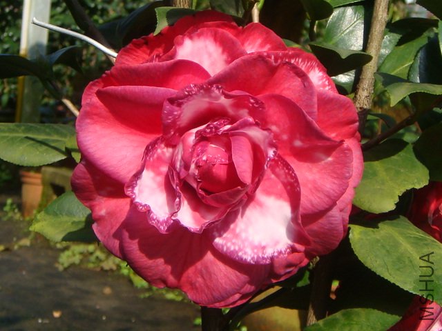 ����������