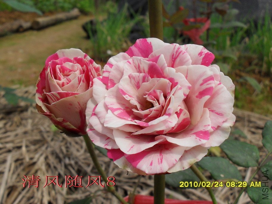 ����11 (5).jpg