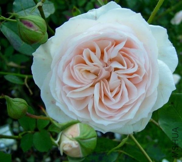 ����̹2 (4).jpg