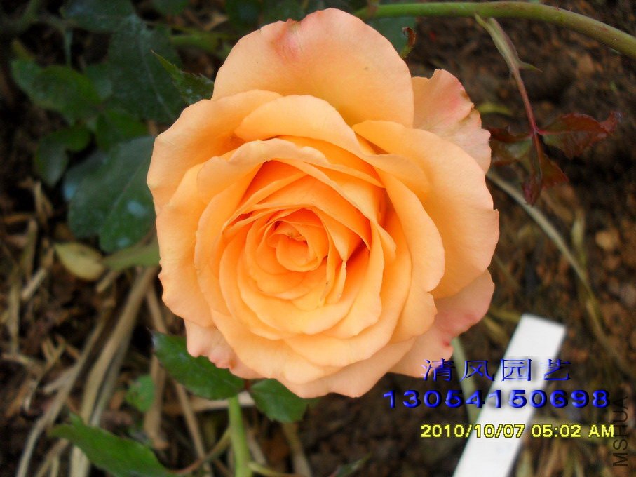 ���չ���2 (2).jpg