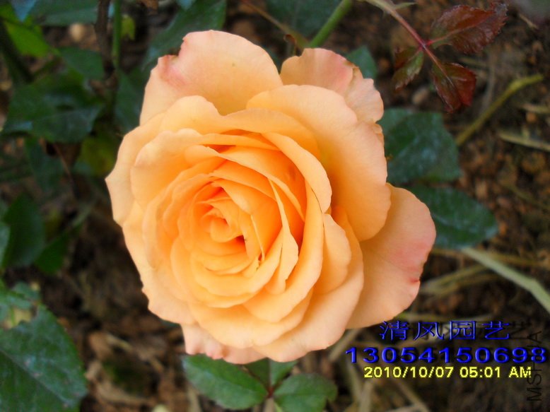 ���չ���2 (1).jpg