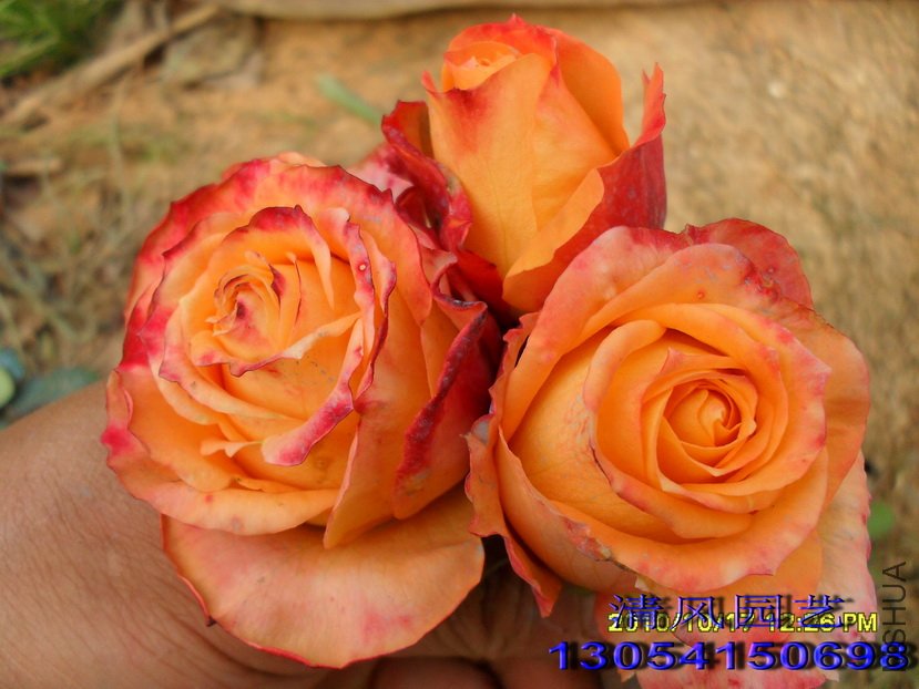 ���չ���2 (3).jpg