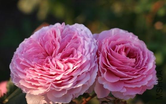 ղķ˹���� (1).jpg