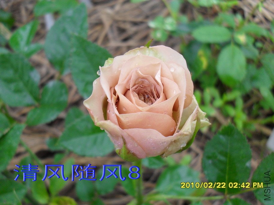 ��������11 (8).jpg