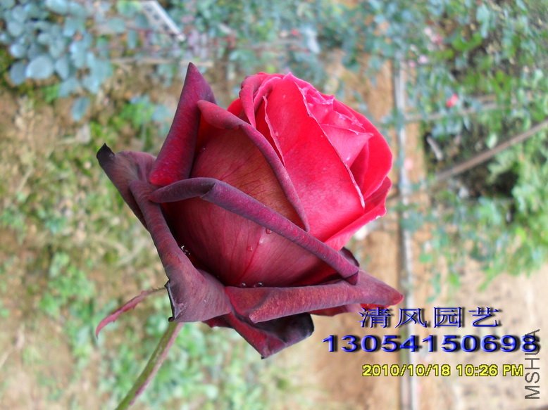 ŵ���� (3).jpg