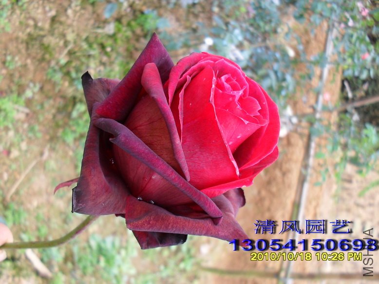 ŵ���� (4).jpg