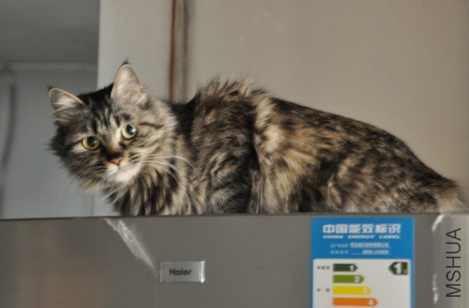 ����������ǲ��������ҼҵĴ����-��-ÿƬҶ�Ӷ���������ӡ��