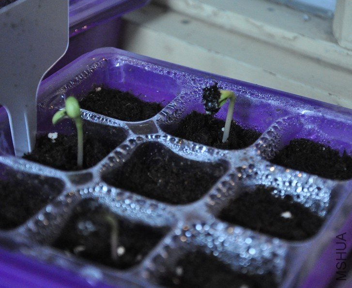 ����1��17�ղ��ֵ����տ��л���5��󷢳������ӣ��⼸���е�ͽ���ˡ���û���ü�����