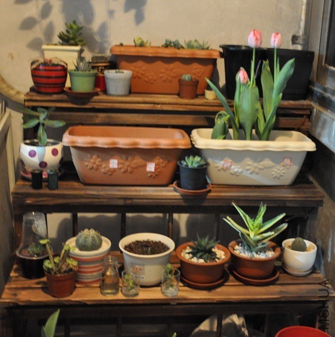 Ū��һС��ʱ��Ļ����ӡ�Ҳ������̨�ϡ�����Աߵ�����Ȼ��~�������Ǻܴ�