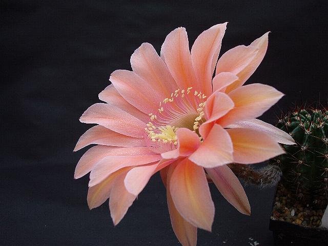 m20101008115331.jpg