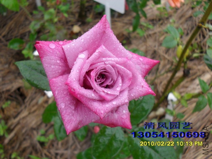 ���� (8).jpg