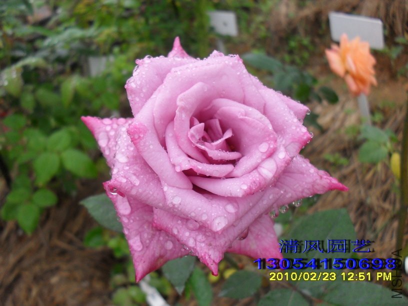 ���� (9).jpg