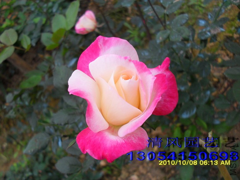 �������� (5).jpg