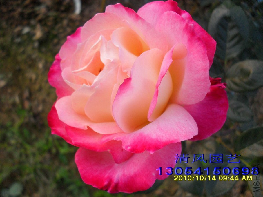 �������� (3).jpg