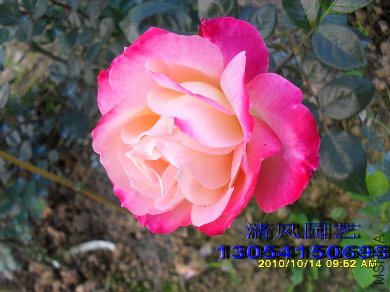 �������� (2).jpg