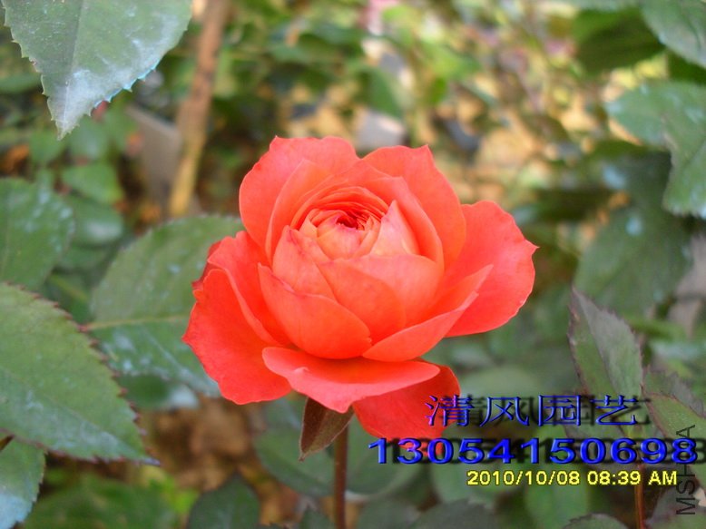 ��߱�־ (1).jpg