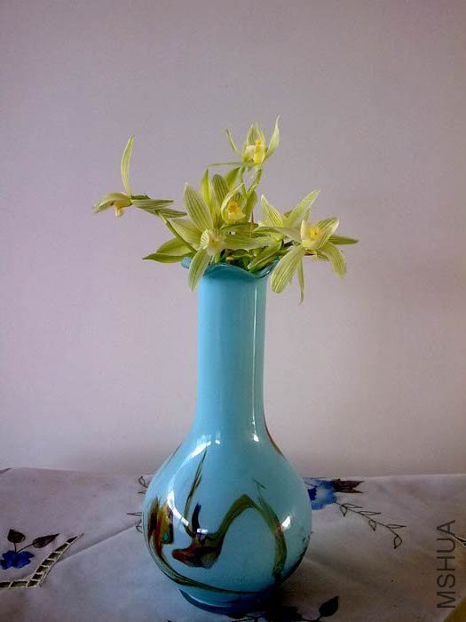 201101282471.jpg
