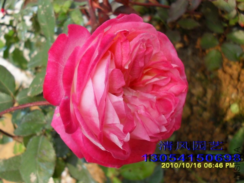 ���� (7).jpg