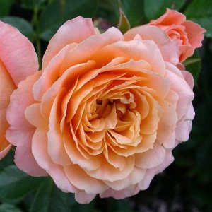 ���ۻ��� (3).jpg