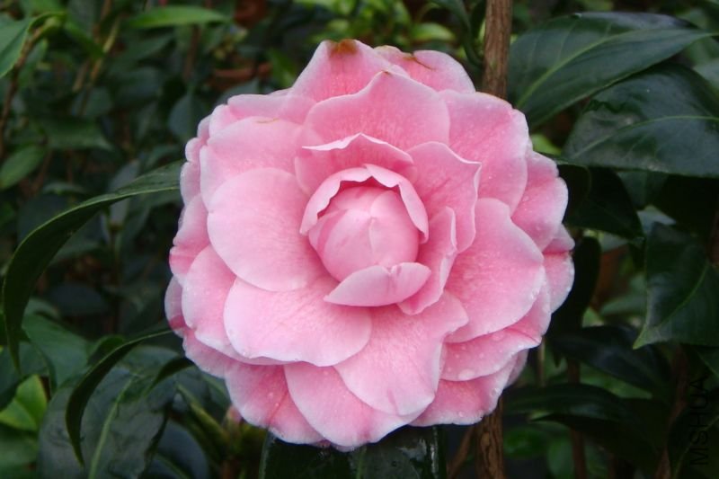 ���m��õ��